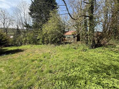 Picture 16